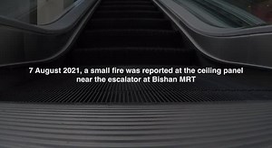 41 reactions · 17 shares | Our public transport workers and operators...