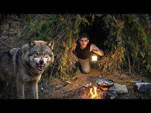 I built a Secret SURVIVAL Shelter to protect myself from WOLF Attacks
