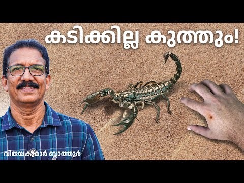 തേൾ വിഷം പേടി വേണോ? #scorpion #venom Detriments and Benefits #facts #malayalam #education