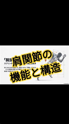 【みんな知ってる？】アスリートに向けた肩関節の機能と構造。#ランニング #スポーツ #sprinter #陸上 #野球 #サッカー#機能解剖学