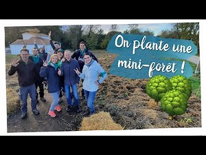 Je plante une mini-forêt 🌳 (avec MiniBigForest) #miniforêt