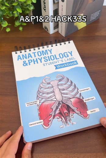 Confidently Pass Anatomy Practical Exams Anywhere