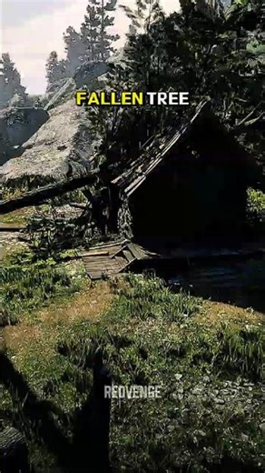 Hidden Loot Locations You Should Visit in Red Dead Redemption 2