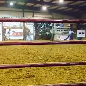 20K views · 804 reactions | You all have been asking about Whacked Out -- well... here he is! This is his first trip with a rider (he's just barely a 3 year old) at the UBBI Derby event tonight in Mineral Wells, Tx. | Bushwacker, PBR Bucking Bull | Facebook