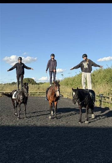 Minnie practising some tight turns over some small fences the other day🥰 ##horse##pony##jumping##lesson