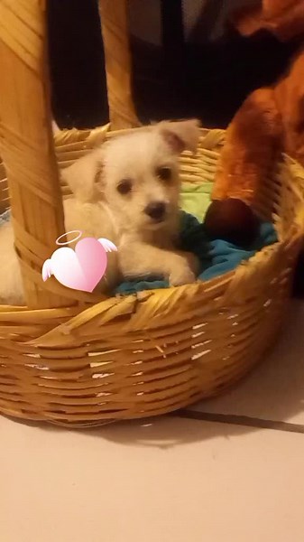 Videos de fernanda_martinez123 (@fernanda_.martines) con “”