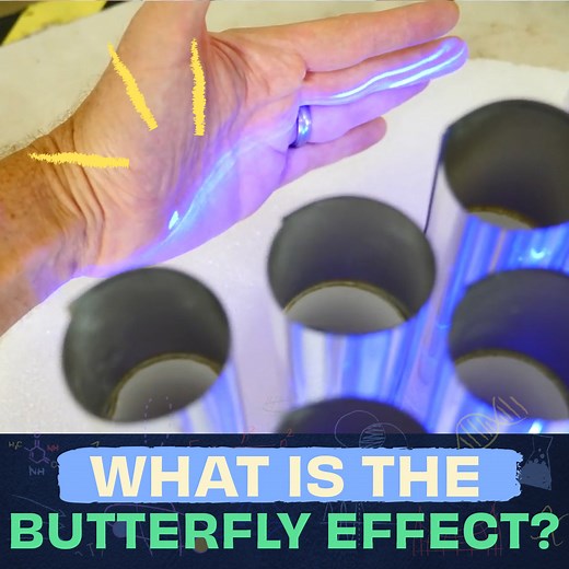 2.4M views · 11K reactions | The Butterfly Effect Explained! 曆 | The Action Lab | Facebook