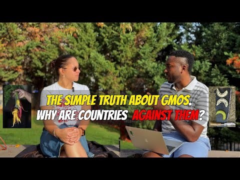 What Are GMOs? Veronika Talks Benefits, Risks, Myths of GM Plants | ARandomChidi Meets | Episode 7