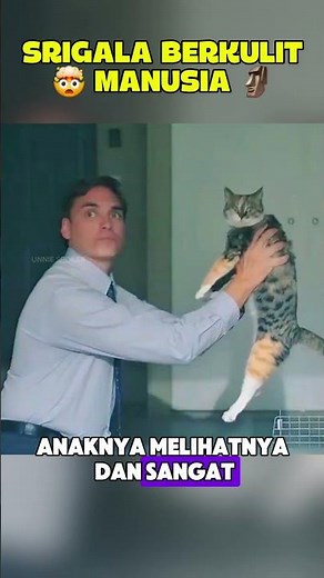 srigala berkulit manusia 😱🤯🗿