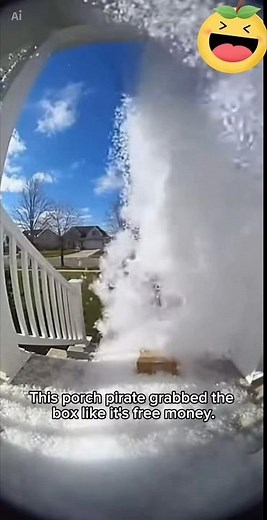 Porch Pirate Opens Package… Gets FOAM BOMBED! 😂 Instant Karma