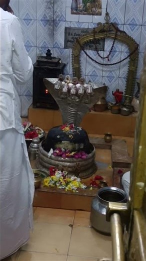 om namah shivaya 🙏🙏#ytshorts #trending #shorts #shortvideo