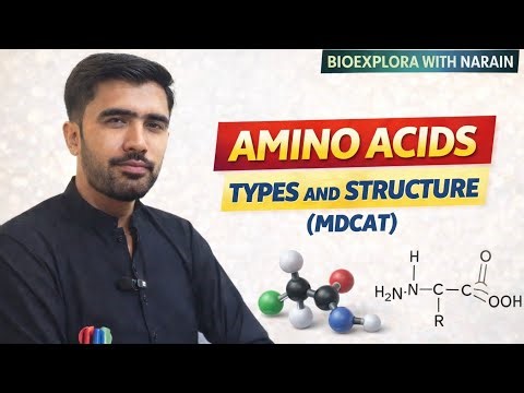 Amino Acids – Types & Structure | Class 9 & 10 Biology | 11th & 12th | MDCAT Preparation