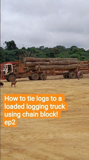 How to tie logs to a loaded logging truck using chain block! ep2