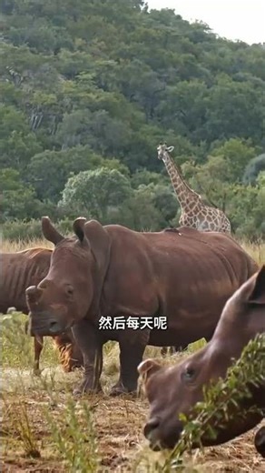Ancient Building Secrets: 12,000-Year-Old Ruins Revealed
