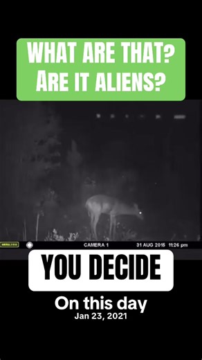 What are that? Are it aliens #onthisday | alien