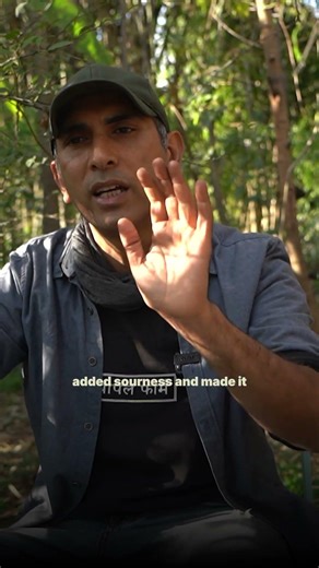 क्या peanut curd normal curd से बेहतर है?