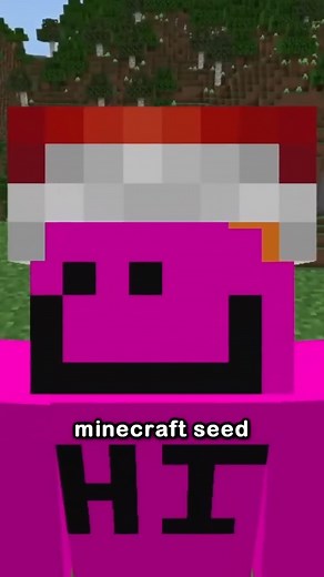462K views · 19K reactions | the craziest seed in minecraft history ....
