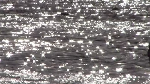 𝒻𝓁𝓊𝒾𝒹𝒾𝓉𝓎 raw, imperfect, vulnerable. flow. | CD