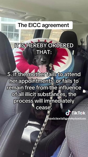 Navigating Child Custody with a Narcissist