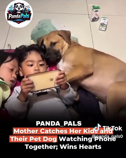 Kids and Dog Share a Heartwarming Moment Together