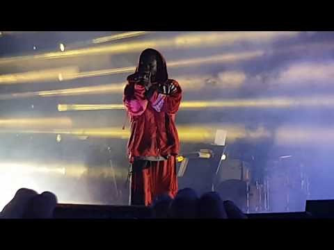 Kendrick Lamar - ALL THE STARS (Live at Lollpalooza Brazil 2019)