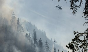 How bad is the 2025 wildfire season expected to be?