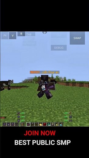 💀 Best Join Best Public Lifesteal Smp 🌹 Serverr for minecraft 🎈 || 24/7 Online || Ip in description