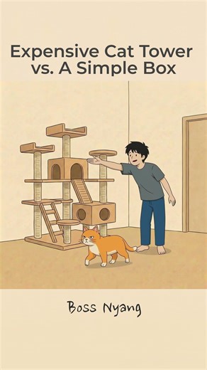Expensive Cat Tower vs. A Simple Box 📦 #animation