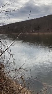 “Those who contemplate the beauty of the earth find reserves of strength that will endure as long as life lasts. There is something infinitely healing in the repeated refrains of nature - the assurance that dawn comes after night, and spring after winter.” - Rachel Carson On this spring day and the last day of Women’s History Month, we're thankful for Pennsylvania native, Rachel Carson and her groundbreaking 1962 book Silent Spring which focused on the impact of humans on the environment and how