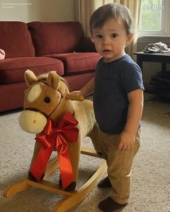 MY EX-HUSBAND GIFTED OUR SON A ROCKING HORSE – WHEN I SAW WHAT WAS INSIDE, I CALLED MY LAWYER A few weeks ago, my ex-husband came over with a gift for our son, Ethan... a plush rocking horse. It was cute, well-made, and Ethan loved it instantly! Honestly, I didn't think much of it. My ex always brings gifts when he visits, probably trying to ease the guilt from the messy divorce. I let it go. At first, everything was normal. Ethan would ride the horse and giggle for hours. But after a few days, 