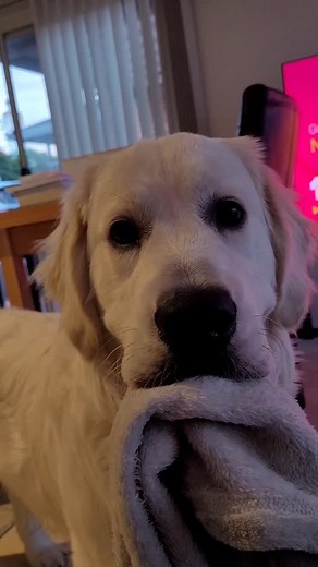 You never know when the next kiss is coming | Basil Bas