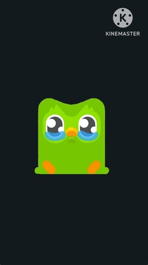 Duolingo crying