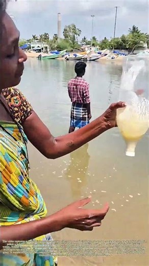 Baiting With Eggs: How a Simple Hack Lures Big Fish From Coastal Waters