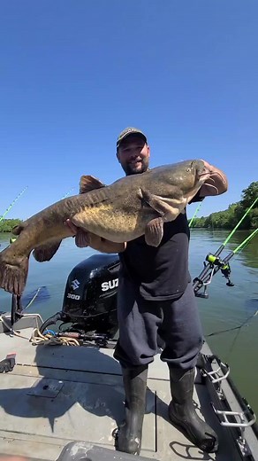 Giant flatheads 🤘#SeaArkBoats #thecatfishingduo #slimeline #thecatfishingduo #catchingcatfish #EasyCat #flathead #HellCatRods #catchthefever #monsterrodholders