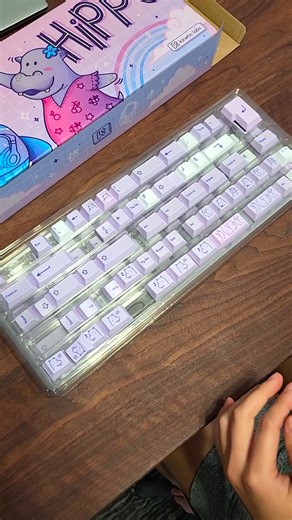 Custom keycaps are too expensive, so I buy these instead