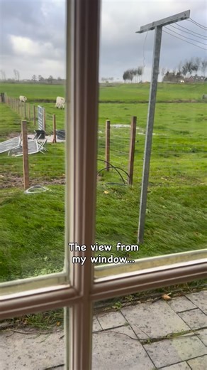 1.9K views · 3.3K reactions | Happy mini calf Poppy 殺 #minicow #poppy #running #calf #cow #koe #minikoe #minirund #minigalloway | Boerderij TV | Facebook