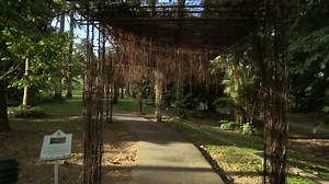 Virtual Walks - Botanical Gardens & Parks with Natural Sounds