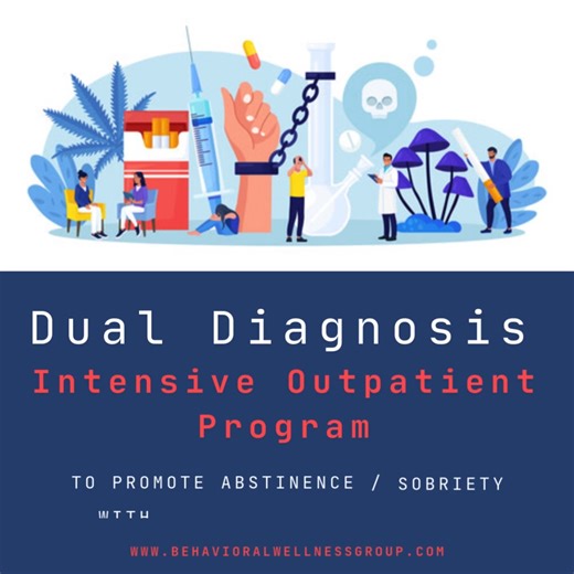 Campus Therapy at BWG | ACCEPTING NEW CLIENTS!!! NORTH EAST OHIO DUAL DIAGNOSIS HYBRID INTENSIVE OUTPATIENT PROGRAM (IOP) It is one of the few programs in the... | Instagram