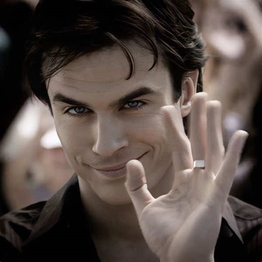 The Perfect Love: Delena Moments in The Vampire Diaries