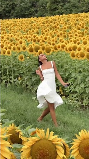 Dancing with the sunflowers