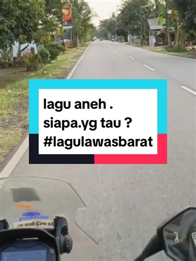 Lagu Aneh: Menemukan Hits Barat Lawas yang Unik