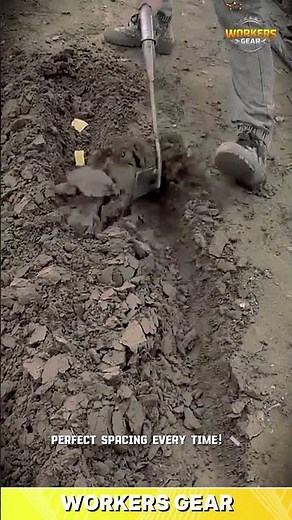 Clever Potato Planting Hack Using Simple Spacing Method for Faster and Organized Farming