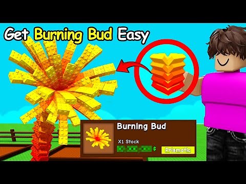 HOW TO GET BURNING BUD in Grow a Garden