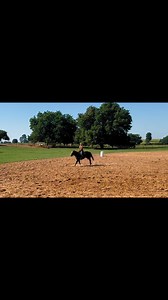 7.2K views · 111 reactions | The saddle horn is a valuable tool. You can slow your horse, pull yourself up and aid horse to go, help horse and your body in the turn, and to stay on! Use your horn!鸞 | Jane Melby & Team | Facebook