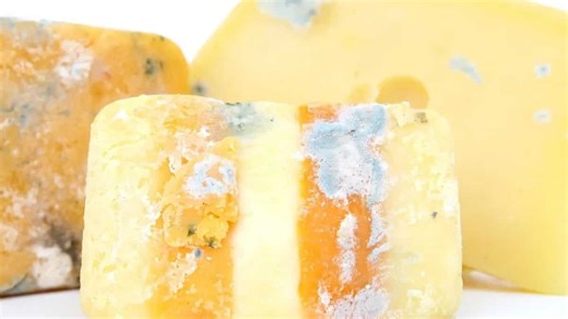 Mould On Your Cheese? Here Are 6 Tips To Prevent It