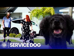 Her Service Dog Saved Her Life… Then Changed It Forever