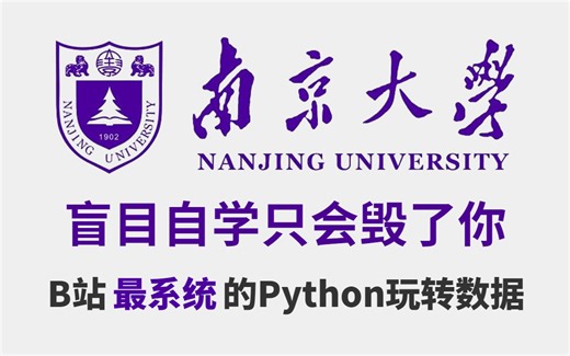 【整整105集】南京大学18小时讲完的Python数据分析+数据分析思维，全程干货无废话！学完变数据科学大佬，这还学不会，我退出计算机区！