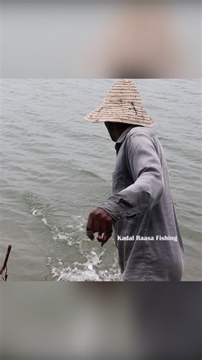 7.4K views · 57 reactions | Maida Flour Magic! Mullet Fish Catch in Minutes #MulletFishing #BottleTrapFishing #HandlineFishing #FishingWithMaida #BackwaterFishing | Kadal Raasa Fishing | Facebook