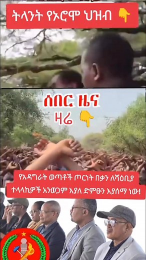 #Ethiopia #Tigray #TPLF #Afar #EthiopianNews #AmharicNews #Africa #HornOfAfrica #fbreels #ሼር #ሼር #Eritrea #Afar #Afar_Ethiopia #Ethiopia #TDF #tdfይ #tdfnews #TDF #TDF2025 #TDF #TDFAppreciation #LoveTDF #DigitalWoyane #Ethiopia #habesha #habeshabeauty | Nbs Ethiopia