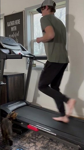 Kitten Uses Treadmill As Rocket Launcher! #Cats #Kittens #Fail